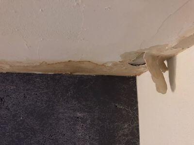 Professional Mold Remediation services in Concord